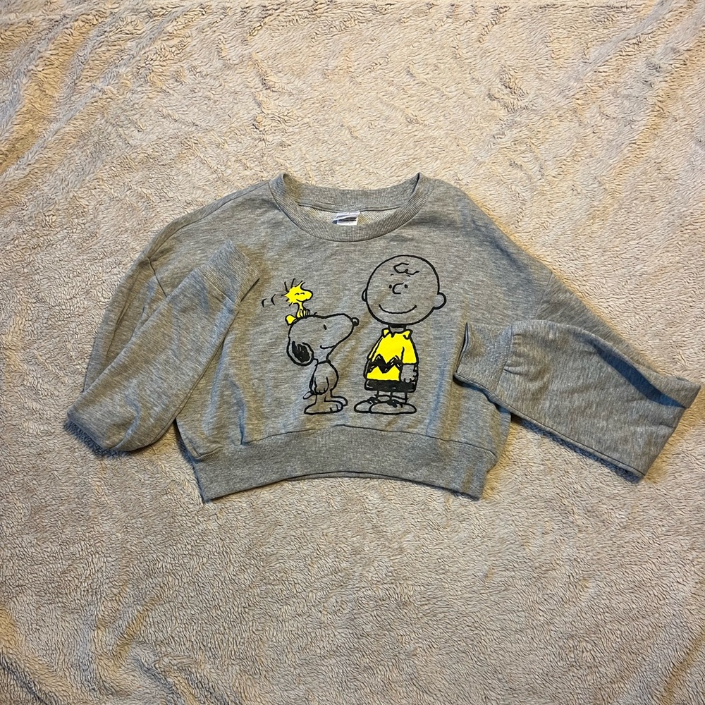 Peanuts | Charlie Brown & Snoopy Grey Crop-Top Sweatshirt | Size L
